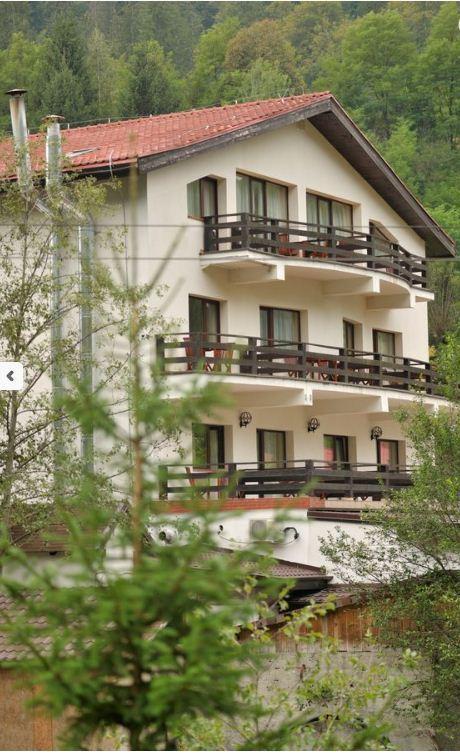 Zan Hotel Voineasa Eksteriør bilde